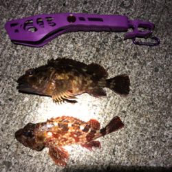 強行強風ガシリング