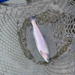 上永野フィシングリゾート