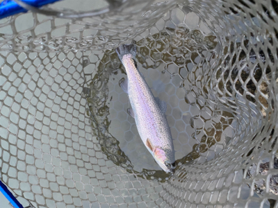 上永野フィシングリゾート