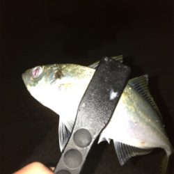 最低限のマナーを守って!