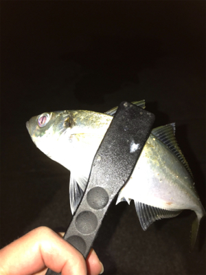 最低限のマナーを守って!