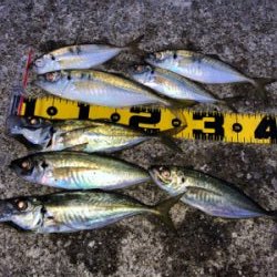 まさかの初ムツ