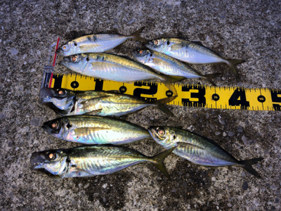 まさかの初ムツ