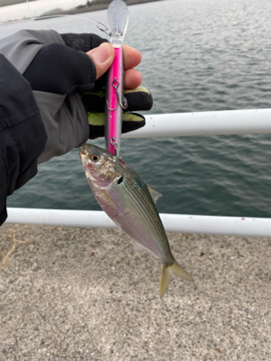 思ってたんとちゃう…