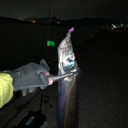 凪の間のドラゴンハント