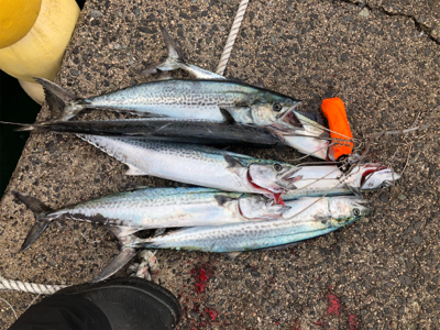 美保関先客が居たので...