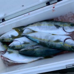 丹後沖ジギング