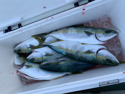 丹後沖ジギング