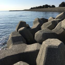 ショアジギング