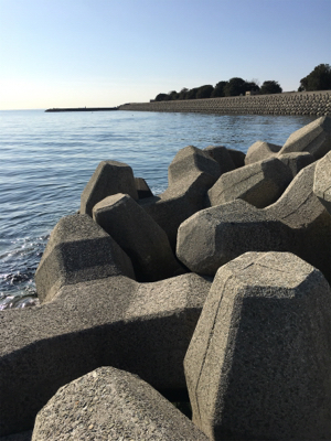 ショアジギング