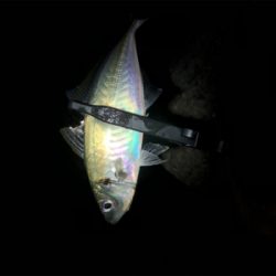 メリークリスマス