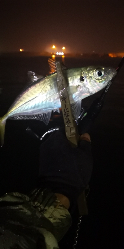 アジング練習 85