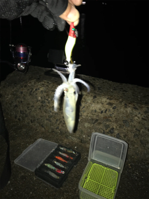 久しぶりにヒイカプチ地合い(^｡^)