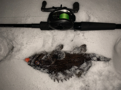 雪降る中のロックフィッシュ