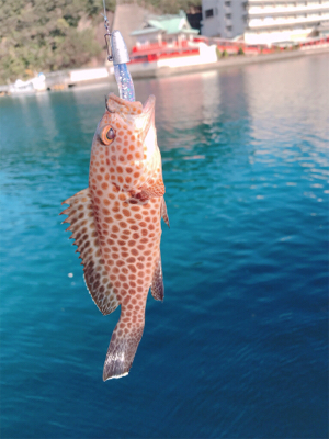 ダートゲーム！