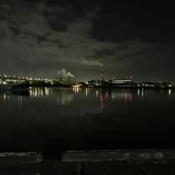 かなり厳しくなってきました