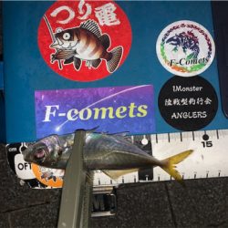 釣り納めアジング