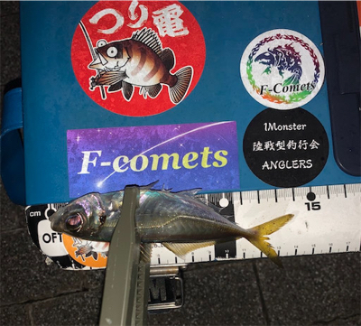 釣り納めアジング