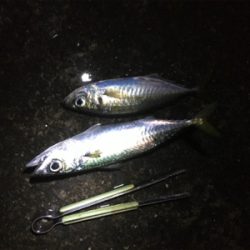 クーラー満タン