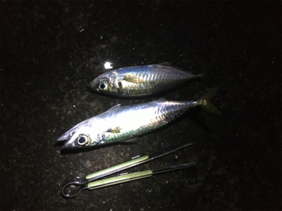 クーラー満タン