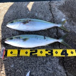 今年最後の釣り