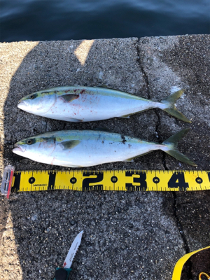 今年最後の釣り