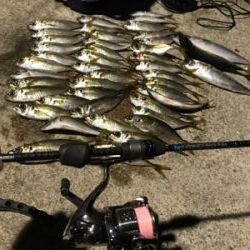 NEWロッドアジング