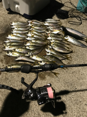 NEWロッドアジング