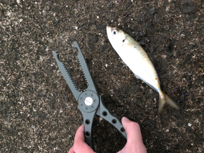 ランガンアジング