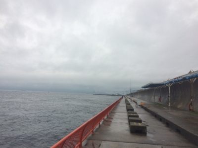 お正月用真鯛チャレンジ