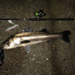 今度こそ釣納め