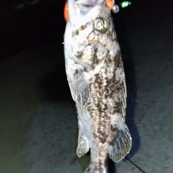 ビッグワームに変えてみると…？