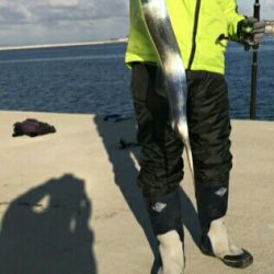 釣り納めドラゴン