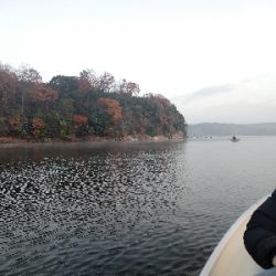 今期2回目・ワカサギ釣り