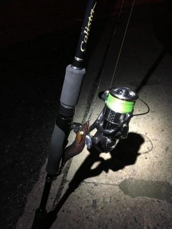 ステラ墨付け完了、、、