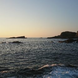 太地でグレ釣り