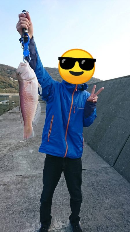 幻の白甘鯛(2kg45cm)