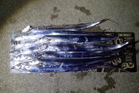 タチウオ ツ抜け