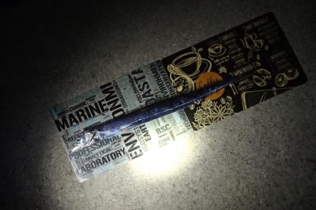 難易度高い タチウオ ウキ釣り