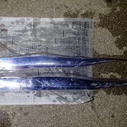 まだいける タチウオ