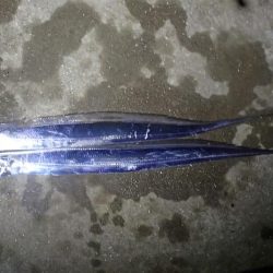 タチウオ ノマセ