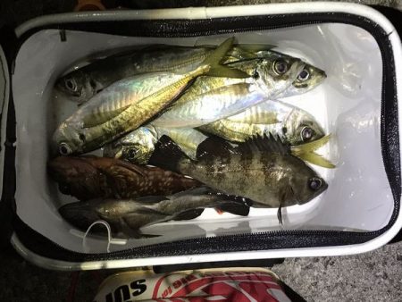 デブアジで釣り納め！