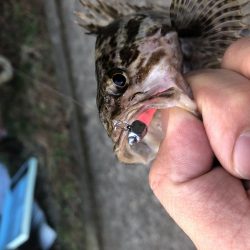 小さいけどポツポツと