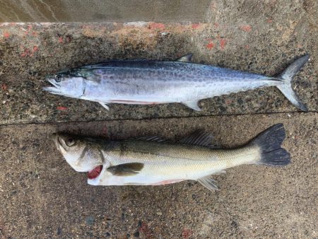 荒天候ジギングで大格闘