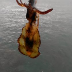 もう終わりなのか?