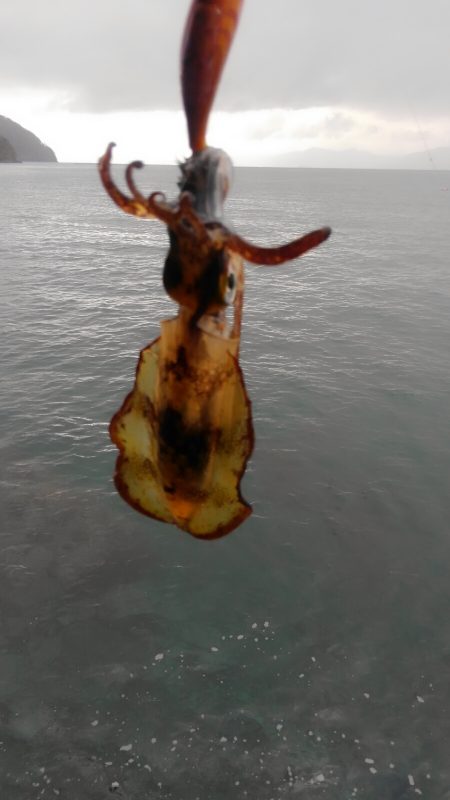 もう終わりなのか？