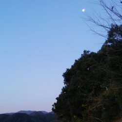 月に応援してもらったけど？