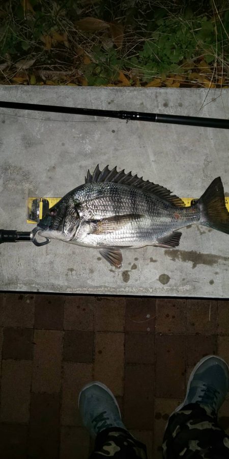 半夜で　~辰巳橋~