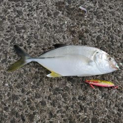 爆風と寒さに耐えながら