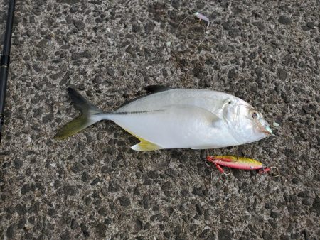 爆風と寒さに耐えながら